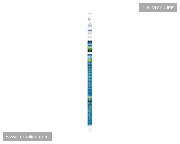 杭州足球队在冠军赛中的实力表现分析与未来展望 杭州足球队在冠军赛中的实力表现分析与未来展望