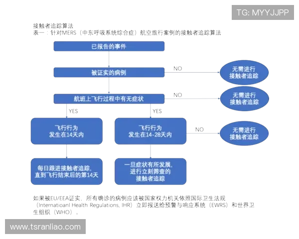 武汉排球队防守反击策略分析与比赛表现评估