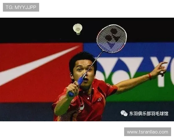 深圳羽毛球队技术对比深度分析揭示训练优势与发展潜力 深圳羽毛球队技术对比深度分析揭示训练优势与发展潜力