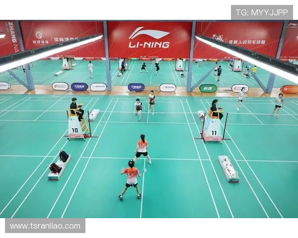 赛后分析:武汉羽毛球队与成都羽毛球队个人能力对比与表现评估 赛后分析:武汉羽毛球队与成都羽毛球队个人能力对比与表现评估