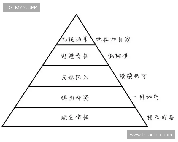 武汉排球队的团队协作精神与排球竞技的完美结合探讨