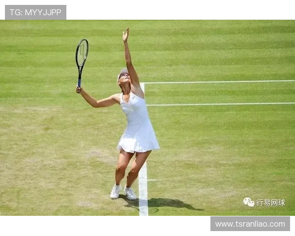 北京网球队战术解析：从技术细节到比赛策略的全面探讨