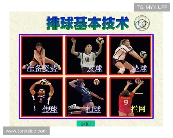 广州排球队在全国锦标赛中的战术分析与表现评估